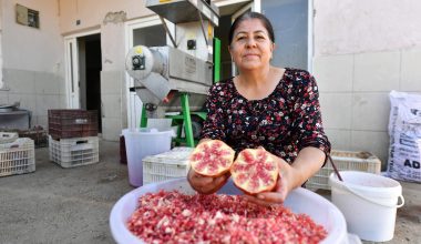 MERSİN BÜYÜKŞEHİR’DEN BİR İLK: NAR TANELEME MAKİNESİ