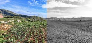 BÜYÜKŞEHİR, ‘SÜRDÜRÜLEBİLİR ENERJİ VE İKLİM EYLEM PLANI’NI HAZIRLADI