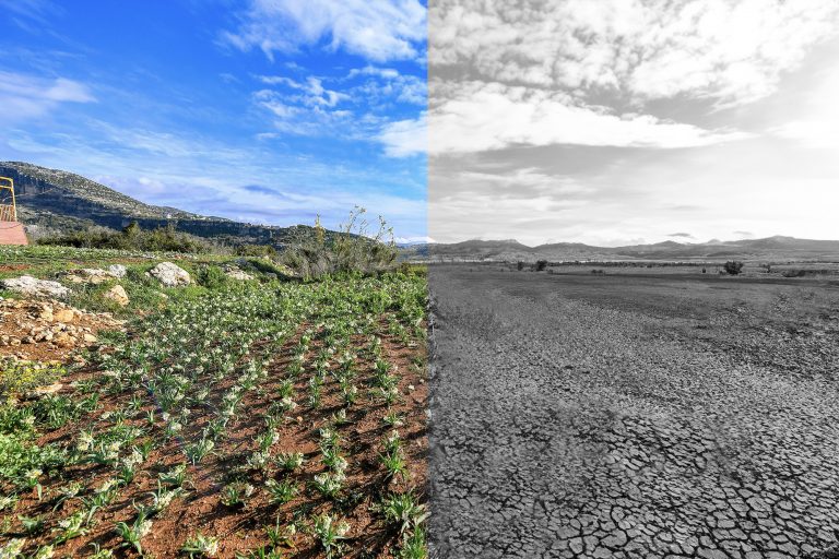 BÜYÜKŞEHİR, ‘SÜRDÜRÜLEBİLİR ENERJİ VE İKLİM EYLEM PLANI’NI HAZIRLADI