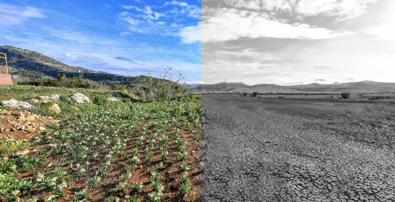 BÜYÜKŞEHİR, ‘SÜRDÜRÜLEBİLİR ENERJİ VE İKLİM EYLEM PLANI’NI HAZIRLADI