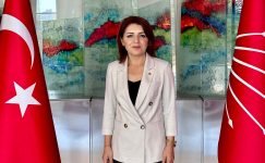 CHP Mersin Milletvekili Gülcan Kış’tan Yeni Yıl Mesajı: “Umudumuzu ve Mücadelemizi Büyüteceğiz!”