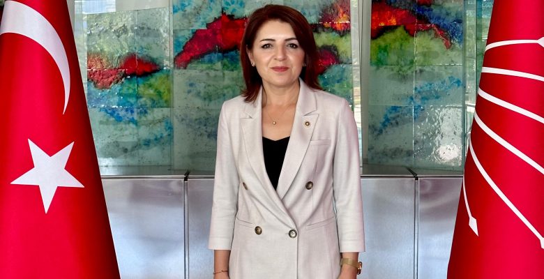 CHP Mersin Milletvekili Gülcan Kış’tan Yeni Yıl Mesajı: “Umudumuzu ve Mücadelemizi Büyüteceğiz!”