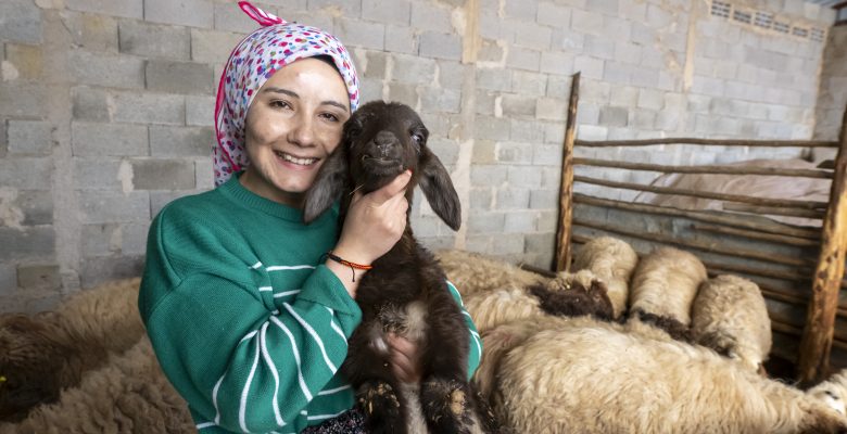 HAYVANCILIKTA GENÇ GİRİŞİMCİLERE DESTEK BÜYÜKŞEHİR’DEN