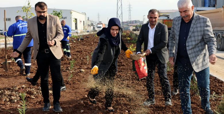 AKDENİZ YENİ BİR YEŞİL ALAN KAZANIYOR