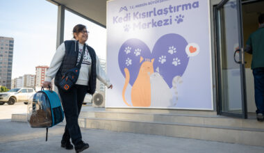 BÜYÜKŞEHİR’DEN YENİ BİR HİZMET DAHA: ‘KEDİ KISIRLAŞTIRMA MERKEZİ’