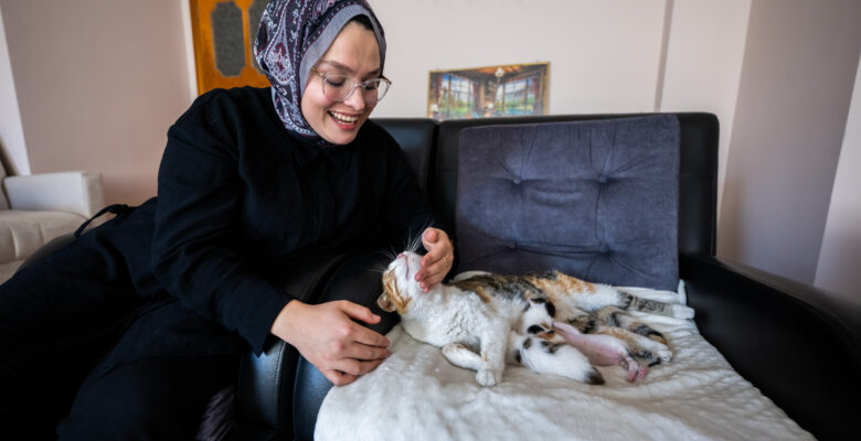 CAMİYE SIĞINAN ANNE KEDİ VE YAVRULARI BÜYÜKŞEHİR SAYESİNDE YENİ YUVASINDA