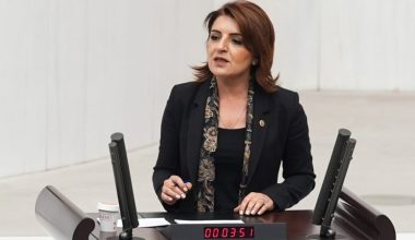 GÜLCAN KIŞ: “Saray rejiminde, refah değil icra geldi.”