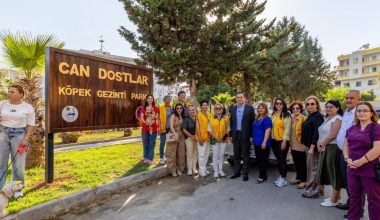 Yenişehir Belediyesinden patili dostlara özel park