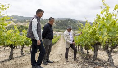 MERSİN BÜYÜKŞEHİR’İN ÜRETİCİLERE HER KONUDA DESTEĞİ DEVAM EDİYOR