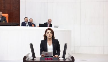 CHP Mersin Milletvekili Gülcan Kış’ın Kurban Bayramı Mesajı