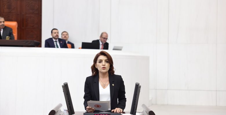 CHP Mersin Milletvekili Gülcan Kış’ın Kurban Bayramı Mesajı