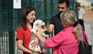 MERSİN BAROSU HAYVAN HAKLARI KOMİSYONU, PATİKÖY’Ü ZİYARET ETTİ