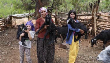 BÜYÜKŞEHİR, ‘SULAMA TANKERİ’ DESTEĞİYLE YETİŞTİRİCİYE CAN SUYU OLUYOR
