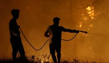 Orman yangınları: 33 ilde 21 kişi tutuklandı!