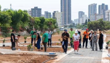Yenişehir Belediyesi kenti yeşillendirmeye devam ediyor