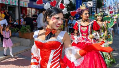 Yenişehir sokak sanatçıları festivaliyle renklendi