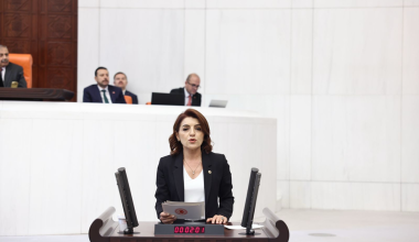 CHP’li Gülcan Kış: “Gazi Mustafa Kemal Atatürk, bir milletin yeniden ayağa kalkışının adıdır”