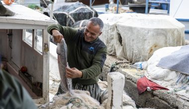 MERSİN BÜYÜKŞEHİR BELEDİYESİ KÜÇÜK ÖLÇEKLİ BALIKÇILARIN YANINDA
