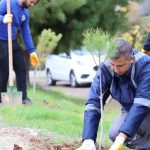 TOROSLAR’DA AĞAÇLANDIRMA SEFERBERLİĞİ