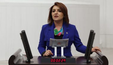 TASARRUF VATANDAŞA, BÜTÇE AŞIMI SARAY’A