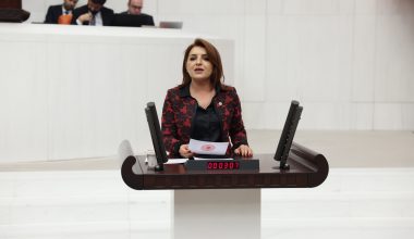 GÜLCAN KIŞ: “TRAFİK CEZALARI GÜVENLİK İÇİN DEĞİL, TAHSİLAT İÇİN ARTIRILIYOR”