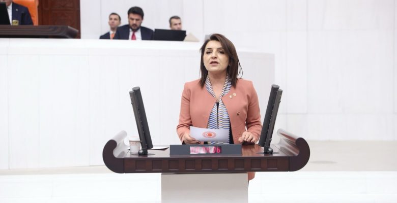 GÜLCAN KIŞ “AKP MERSİNLİ ÜRETİCİNİN EMEĞİNE LİMON SIKIYOR”