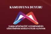 TARIM MÜDÜRLÜĞÜ VETERİNERİNİN GÖZETİMİNDE KESİLEN ETLER ALINIYOR