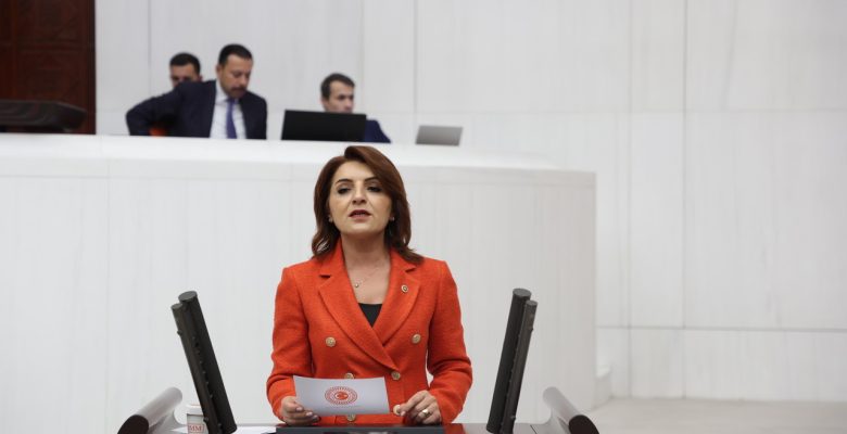 Gülcan Kış “Bayram Sevincinin Yerini Geçim Sıkıntısı Aldı”