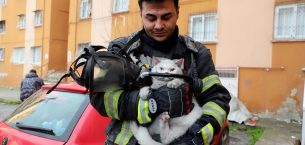 ALEVLERİN ARASINDA BİR CAN: İTFAİYE HAMİLE KEDİYİ KURTARDI