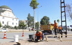MERSİN BÜYÜKŞEHİR’DEN ‘AĞAÇLANDIRMA KAMPANYASI’ MERSİN BÜYÜKŞEHİR’DEN ‘AĞAÇLANDIRMA KAMPANYASI’