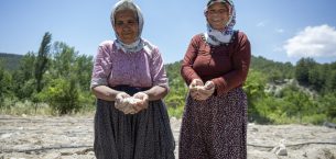 MERSİN BÜYÜKŞEHİR LEKLEK FASULYESİNİ CANLANDIRMAK İÇİN DESTEĞİNİ SÜRDÜRÜYOR
