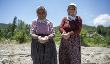 MERSİN BÜYÜKŞEHİR LEKLEK FASULYESİNİ CANLANDIRMAK İÇİN DESTEĞİNİ SÜRDÜRÜYOR