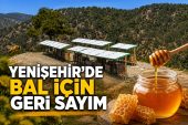Yenişehir’de bal için geri sayım