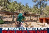 YAŞAMI SAHİPLENEN MERSİN BÜYÜKŞEHİR BELEDİYESİ BİNLERCE CANLIYA YUVA OLUYOR