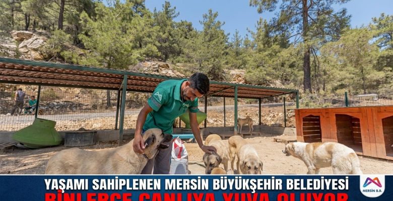 YAŞAMI SAHİPLENEN MERSİN BÜYÜKŞEHİR BELEDİYESİ BİNLERCE CANLIYA YUVA OLUYOR