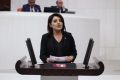 GÜLCAN KIŞ GİRNE–TAŞUCU FACİASININ PEŞİNİ BIRAKMIYOR:  SAHADAN MECLİS’E TAŞIDI