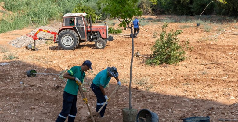 Mersin’in kavurucu sıcağına “yeşil” önlem